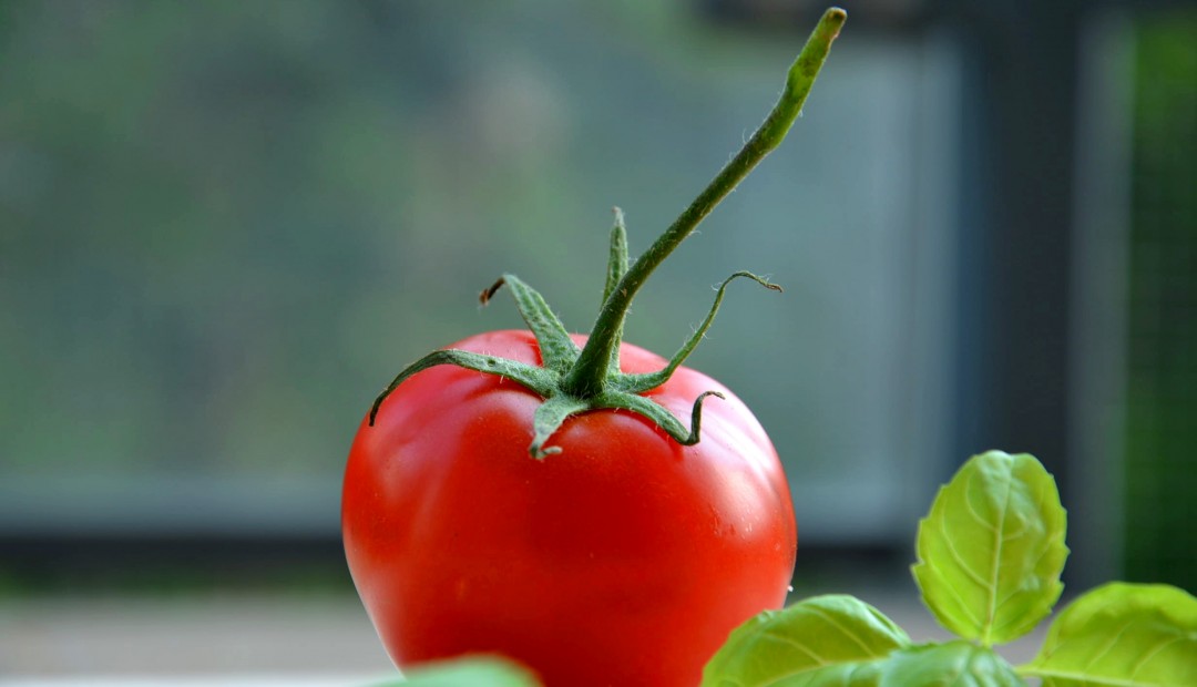 Weekly Specials – (8th – 12th Feb)